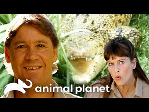 Terri and Steve's Craziest Captures! | Crocodile Hunter | Animal Planet