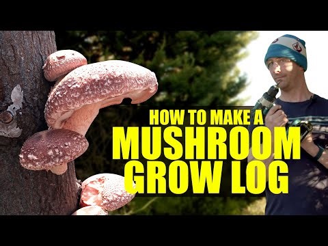 How to Make a Mushroom Grow Log for Your Garden