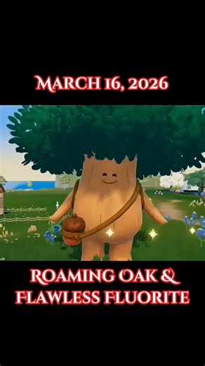 March 16, 2026 Roaming Oak Tree & Flawless Fluorite Locations! #heartopia