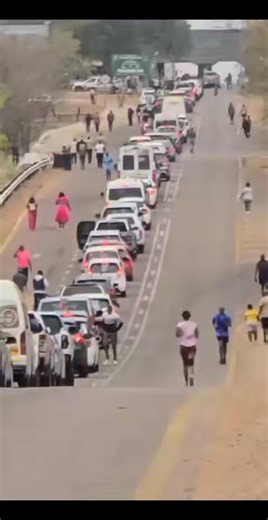 4.6K views · 15 reactions | BREAKING NEWS KRUGER NATIONAL PARK...