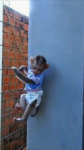 41K views · 2.9K reactions | Tiny Doddy LayOn Table For MOm Cleaning Diaper And Change New Diaper For Him part 16 | Monkey Wild | Facebook