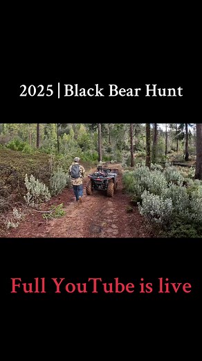 California Black Bear Hunt | 2025 #hunting #funny #bearhunting #blackbear #californiahunting
