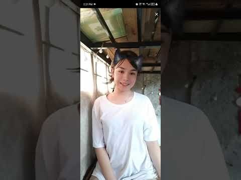 Bocill Live Hot Bar-bar 💦 Hots No Armor