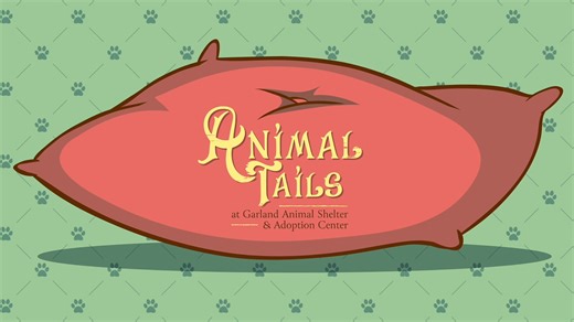 42 reactions · 21 shares | We are happy to announce a new approach to...