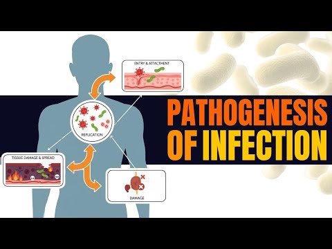Pathogenesis of Infection Explained | Koch’s Postulates, Virulence Factors, and Secretion Systems