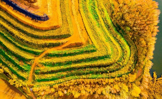 ¿Qué es la minería sostenible? Desafíos de un sector estratégico