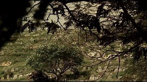 The.Cursed.2018.720p.HDRip