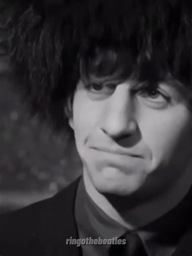 Experience the Yellow Submarine Adventure Live