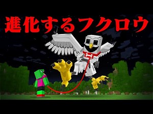『99日のフクロウ』はペットとして飼える？【まいくら・マインクラフト】