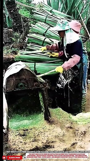 Best innovative fiber decorticator machine tool for agave leaf processing with higher productivity