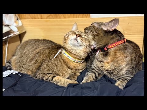 この子達のために！サラお母さんとナラ。Sara's mom and Nara. We look forward to working hard with all of you.