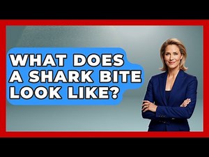 What Does A Shark Bite Look Like? - Water Sports Haven