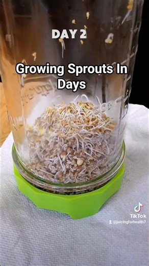 Grow fresh sprouts in a few days 🌱 Fast, easy, beginner-friendly.#Sprouting #JuicingForHealth7