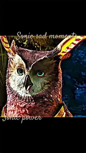 Sonic sad moments 😞