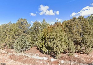 571 County Road 3144, Show Low, AZ 85901 | Homes.com