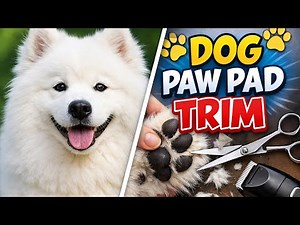 Stop Slipping! Dog Paw Pad Trim - How To Do It Properly