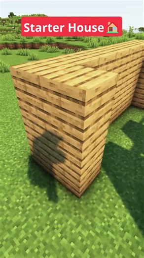 Minecraft Easy Starter House🏠 #shorts