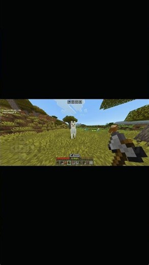 Best Damage Tilt Setting in Minecraft 🔥 #shorts #minecraft