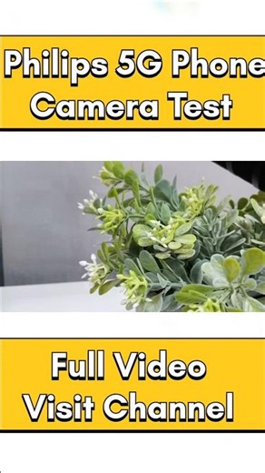 Philips 5G Smartphone Camera Quality | Camera Test