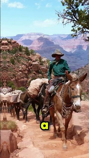 A town in America where mail is still delivered by mule