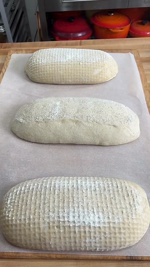 Sourdough Tips and Tricks on TikTok