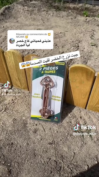 Conseils pour se débarrasser des taupes dans le jardin en France 🇫🇷