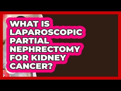 What Is Laparoscopic Partial Nephrectomy For Kidney Cancer? - Kidney Cancer Support Hub