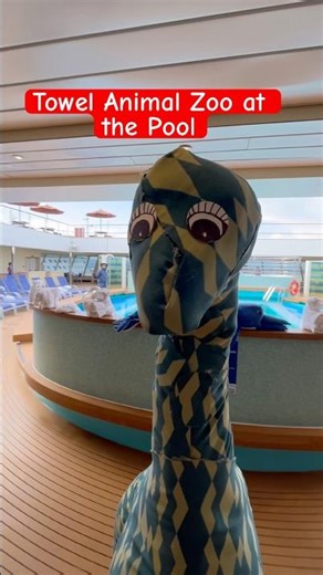 They Turned the Pool Deck Into a Towel Animal Zoo | Carnival Radiance Cruise #travel #cruise