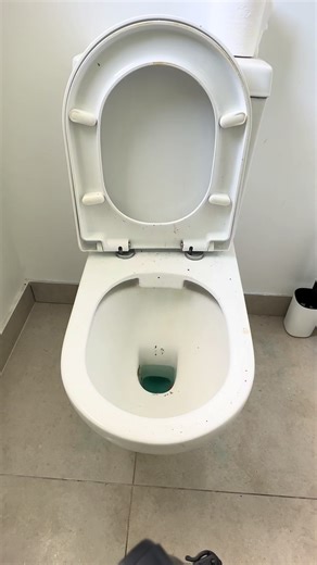 A quick residential toilet clean for ya’ll to enjoy! It’s always pretty satisfying to transform a toilet even if it was just a regular clean this time and not a deep clean or detail. #cleaning #clean #satisfying #satisfyingcleaning #toilet