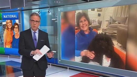 Ailing CNN enjoys huge rating boom amid Nancy Guthrie coverage