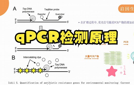 06qPCR检测原理【qPCR技术在检测抗生素抗性基因的应用】