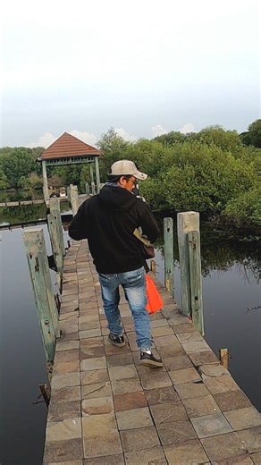 🎯🐟hunting fish using simple tools and without bait #fishing #slingshotfishing