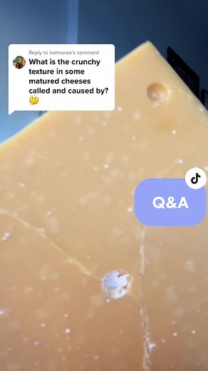 Replying to @helmaree why are some cheeses crunchy? Tyrosine crystals baby! #cheese #cheesetiktok #cheesetok #food #foodtok #foodtiktok #cheesemonger #cheesemongerlife #cheesescience #tyrosine
