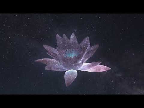 Amir Paiss - Lion's Roar (Official Music Video)