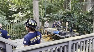 Tree trimmer rescued by Fairfax Co. firefighters
