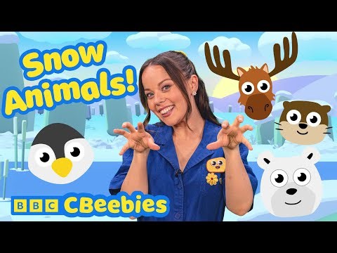 Time to Play Snow Animals 🦦❄️ | CBeebies House Fun with Evie and Friends 🌈✨