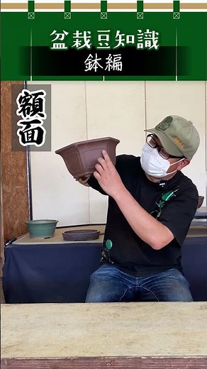 【鉢編】額面外縁六角鉢／盆栽豆知識