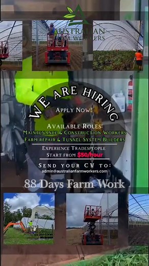 🇦🇺 WORK & TRAVEL OPPORTUNITY IN AUSTRALIA! 🌾 88 Days Farm Work – WHV Holders Welcome! Looking for your 88 days farm work to extend your Working Holiday Visa? Join Australian Farm Workers Pty Ltd — we offer real farm job opportunities with fair pay, safe worksites, and an awesome team! 👷‍♂️🌱 This is your chance to be part of something bigger — a team that keeps farms running strong and productive! 💪 🔧 Your Role: Build and repair hot houses, sheds, and other farm structures Perform maintena