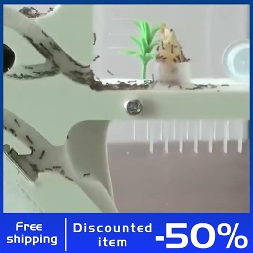 2021 New Ant Sand Castle Nest Workshop Household Ant Farm