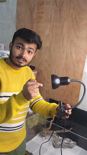 Inse milo 😍 hamara draco 🦎 | cage setup #shorts #cagesetup #beardeddragon