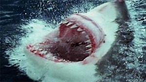 Watch Evolve Season 1 Episode 3 - Jaws