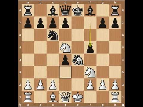 Belgrade Gambit - Chess Opening