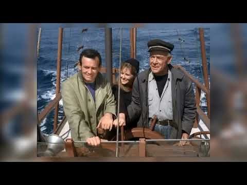 Why the OUTCOME of 'THE FUGITIVE' FUNERAL was so huge after David Janssen's death