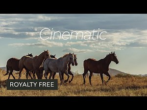 10 Best Royalty Free Cinematic Music Tracks