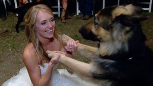 Inside Heartland Star Amber Marshall's Wedding Pt. 3