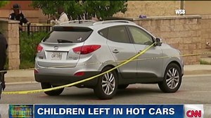 Shocking hot car deaths in the U.S.