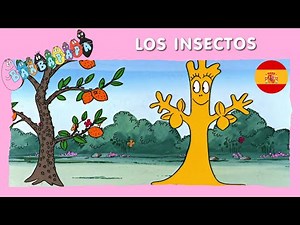 Barbapapa : EP36 - Los Insectos - EPISODIO COMPLETO | Dibujos animados en español