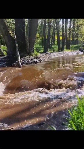 10K views · 178 reactions | Excavator Power Unleashed — Watch the Dam Fall Apart!  #beaverdamremoval | Beaver Dam Removal | Facebook