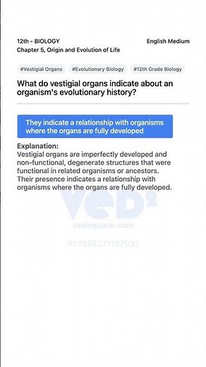 Vestigial Organs and Evolutionary History Explained