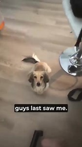 Choose Happiness on Reels | Facebook